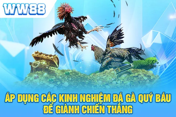 Áp dụng các kinh nghiệm đá gà quý báu trên để giành chiến thắng