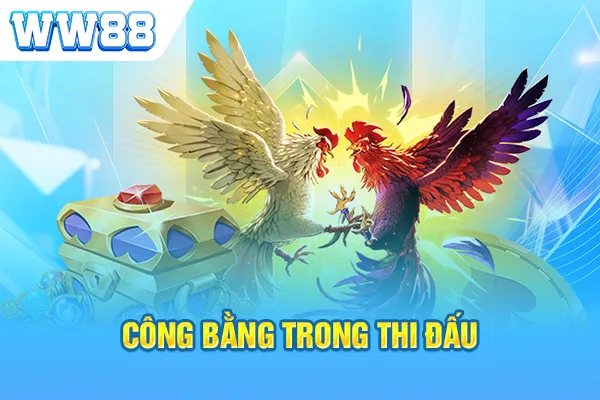 Công bằng trong thi đấu