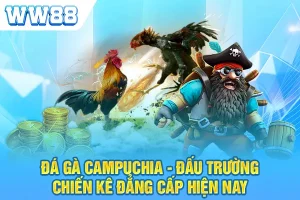 Đá gà Campuchia - Đấu Trường Chiến Kê Đẳng Cấp Hiện Nay