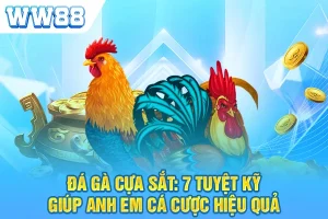 Đá Gà Cựa Sắt: 7 Tuyệt Kỹ Giúp Anh Em Cá Cược Hiệu Quả