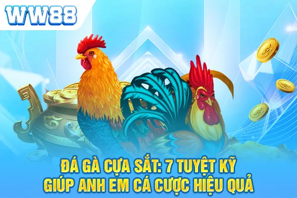 Đá Gà Cựa Sắt: 7 Tuyệt Kỹ Giúp Anh Em Cá Cược Hiệu Quả