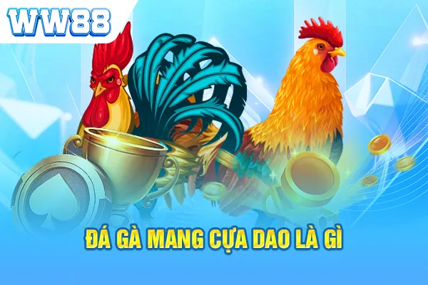 Đá gà mang cựa dao là gì