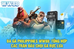 Đá Gà Philippines: Tổng Hợp Các Trận Đấu Chọi Gà Rực Lửa