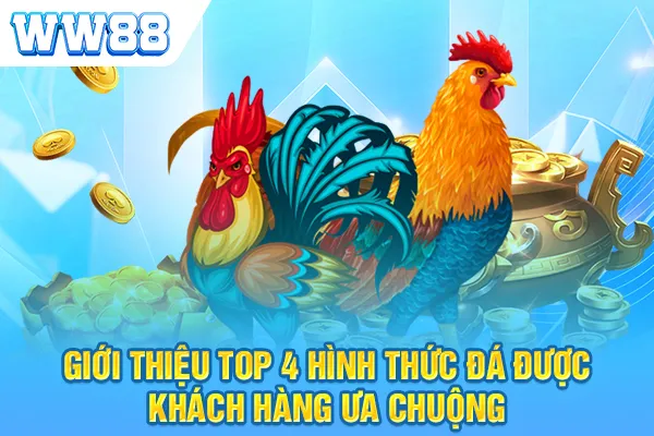 Giới thiệu top 4 hình thức đá được khách hàng ưa chuộng