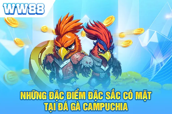 Những đặc điểm đặc sắc có mặt tại đá gà Campuchia