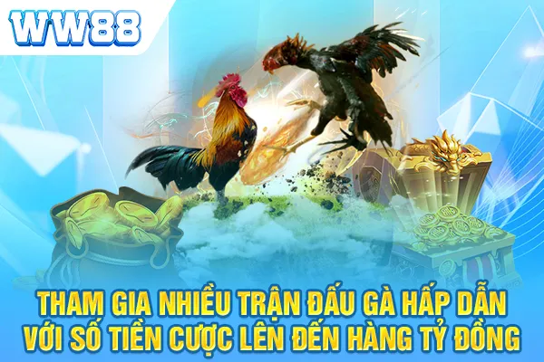 Tham gia nhiều trận đấu gà hấp dẫn với số tiền cược lên đến hàng tỷ đồng