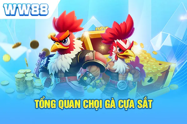 Tổng quan chọi gà cựa sắt